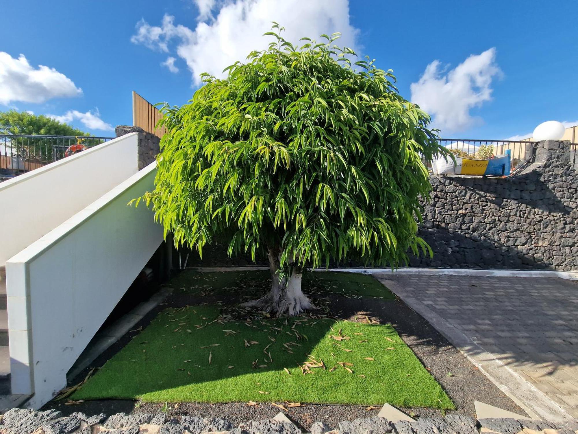 Villa Juanita, Puerto Del Carmen, Lanzarote Tias Exterior photo